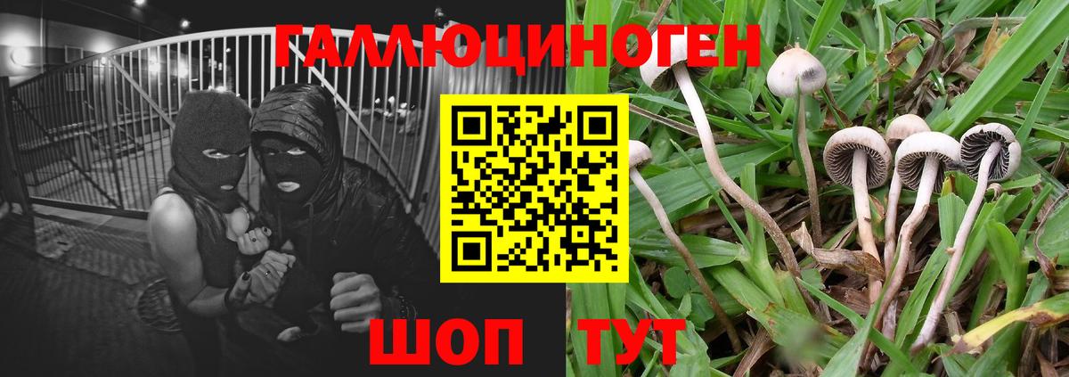 Галлюциногенные грибы мухоморы  Галлюциногенные грибы мицелий  Вход с VPN  Россошь 